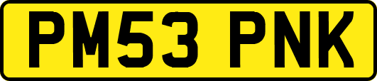 PM53PNK