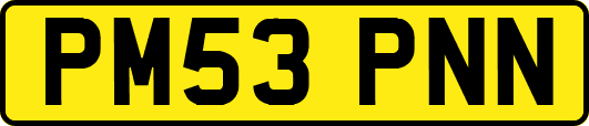 PM53PNN