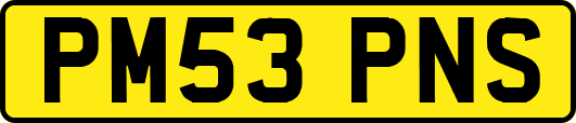 PM53PNS