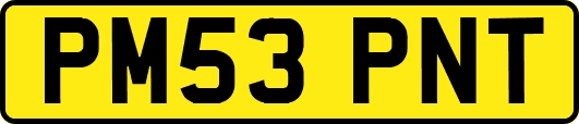 PM53PNT
