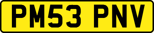 PM53PNV