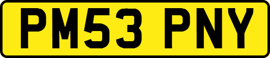 PM53PNY