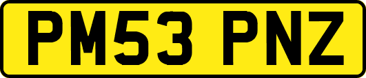 PM53PNZ
