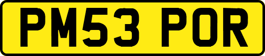 PM53POR