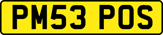 PM53POS