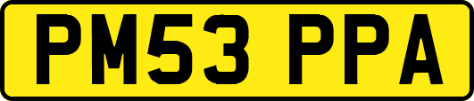 PM53PPA