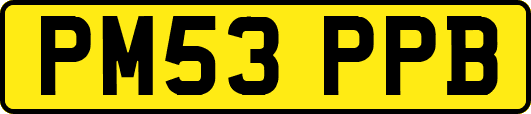 PM53PPB