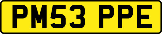 PM53PPE