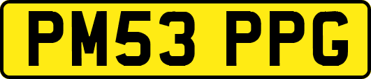 PM53PPG