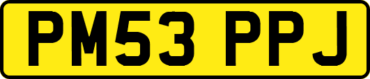 PM53PPJ