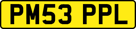 PM53PPL
