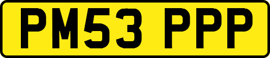 PM53PPP