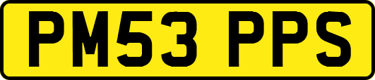 PM53PPS