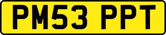 PM53PPT