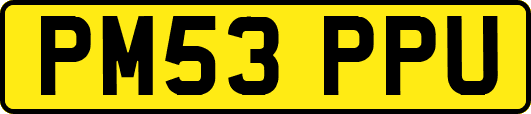 PM53PPU