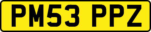 PM53PPZ