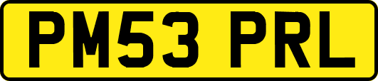 PM53PRL