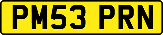 PM53PRN