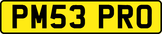 PM53PRO