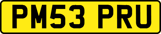 PM53PRU