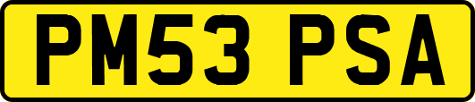 PM53PSA