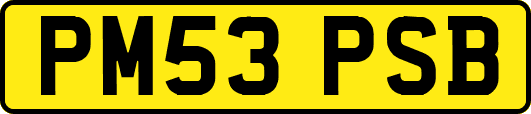 PM53PSB