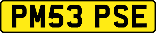 PM53PSE