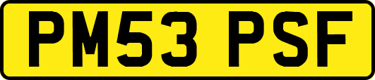 PM53PSF