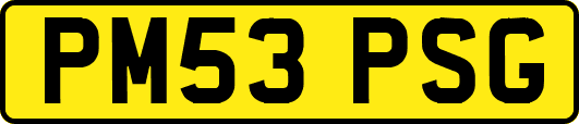 PM53PSG