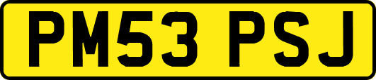 PM53PSJ