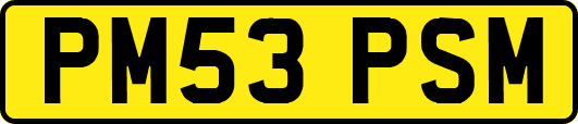 PM53PSM