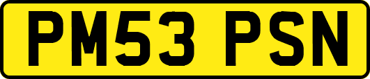 PM53PSN