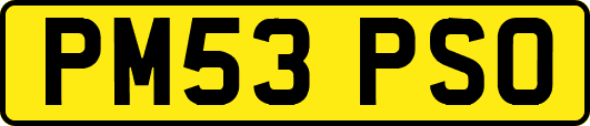 PM53PSO
