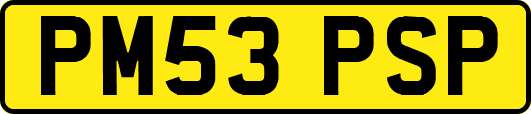 PM53PSP