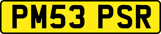 PM53PSR