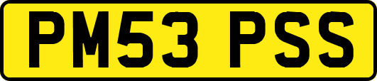 PM53PSS