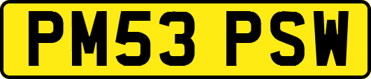 PM53PSW