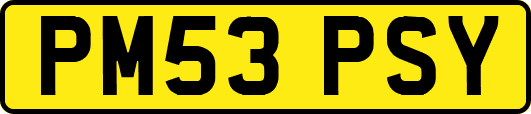 PM53PSY