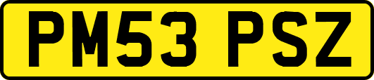 PM53PSZ