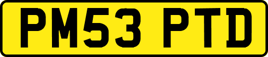 PM53PTD