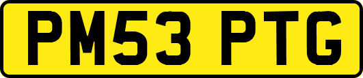 PM53PTG