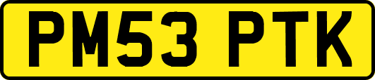 PM53PTK