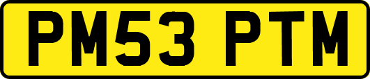 PM53PTM