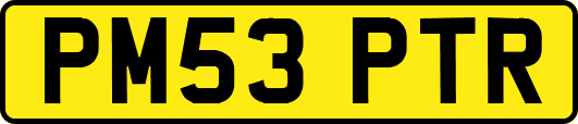 PM53PTR