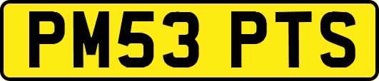 PM53PTS