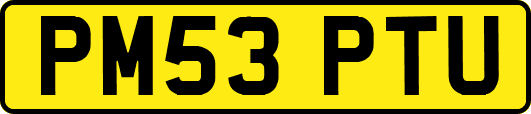 PM53PTU