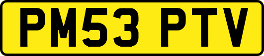 PM53PTV