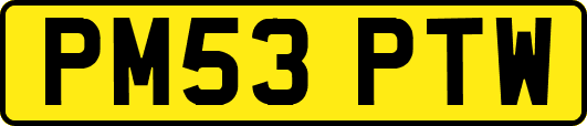 PM53PTW