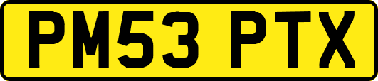 PM53PTX