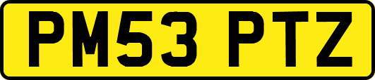 PM53PTZ